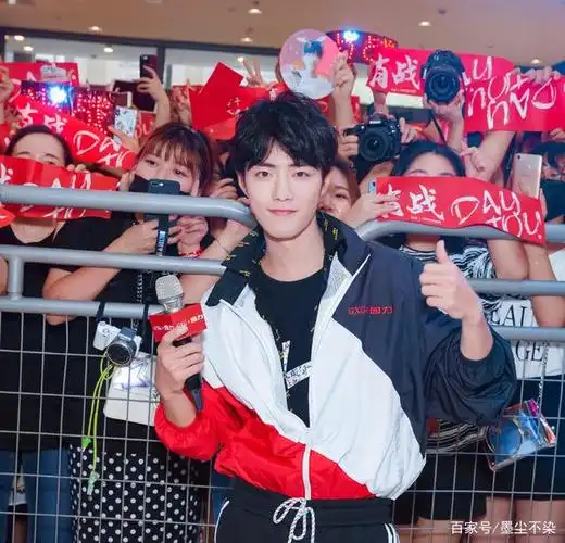 那些年肖战与小飞侠的合影