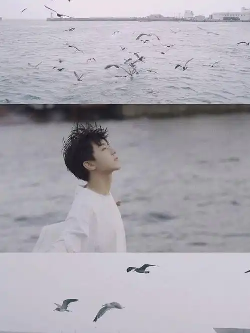 王俊凯的三宫格