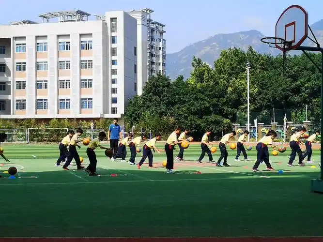 2019年福建省乡村教师素质提升工程省级培训(小学体育班)第三阶段