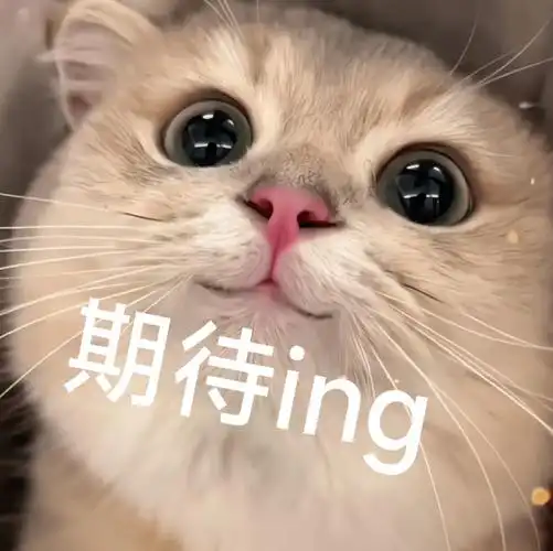快来看可爱小猫,期待ing!丨第855期喵表情包_侵权_网络_图片