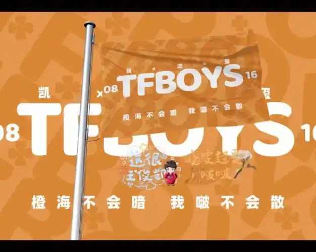 我为tfboys举大旗