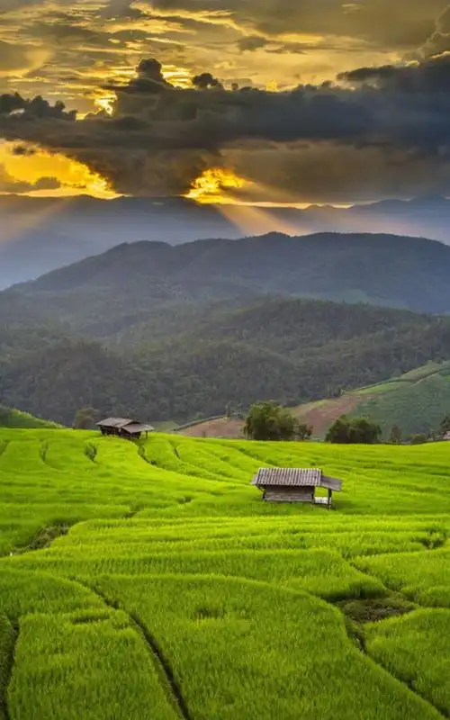 唯美大自然风景图片手机壁纸-风景-壁纸下载-美桌网