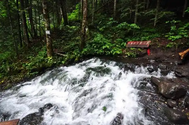 长白山冷泉