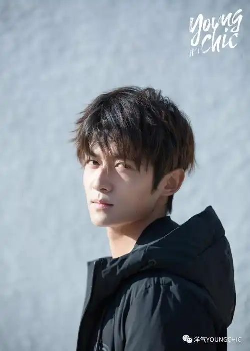 佟梦实 | 有颜有料的"石头",超港超a的杨过