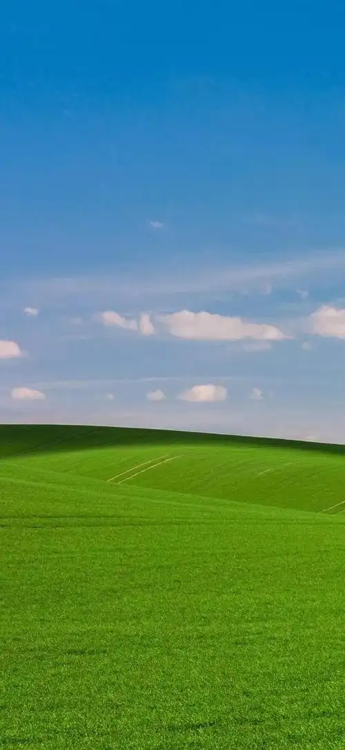 壁纸推荐绿色护眼绿意盎然清新唯美高清无水印