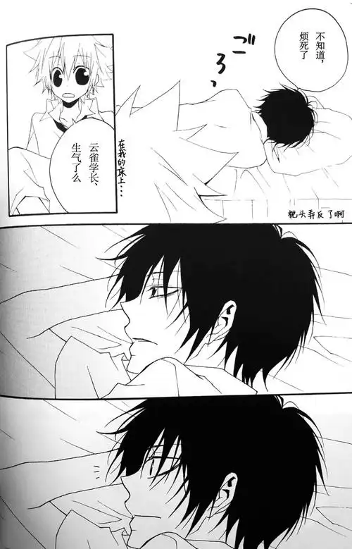 lofterforipad让兴趣更有趣