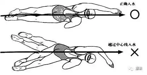 教练之家自由泳20节课教案教练收藏版