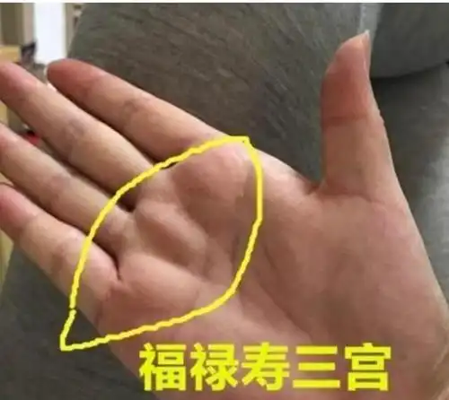 不缺钱的女人手相,而且还特别旺夫!