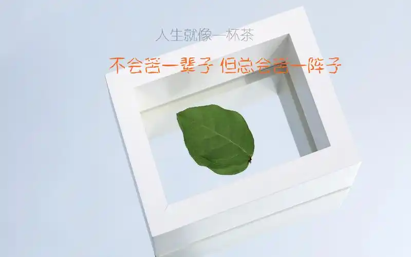 小清新背景励志桌面宽屏壁纸