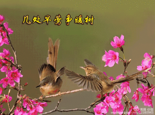 其它 春暖花开爱在春天 写美篇鸟语花香 觅一缕花香 寻找春天的风情