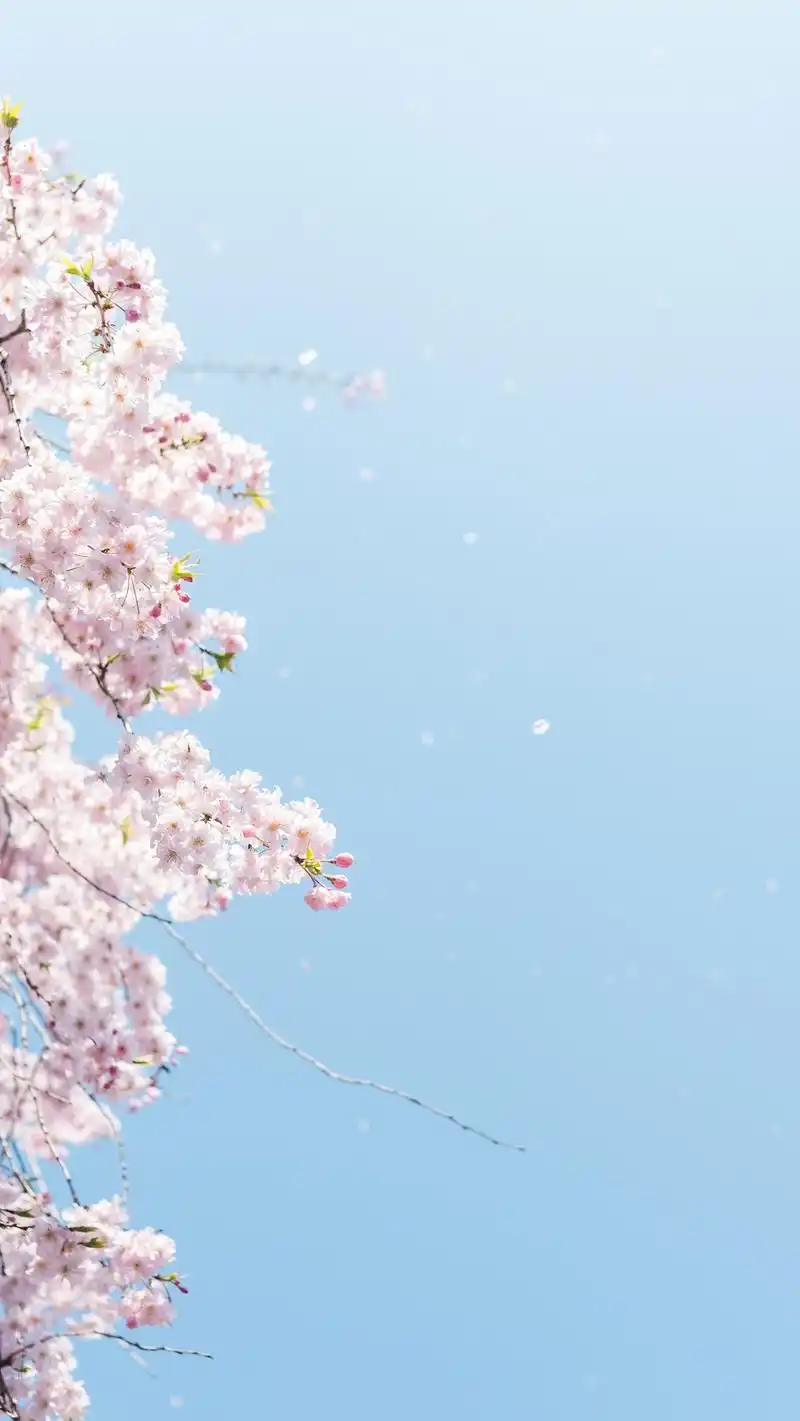 夏天的味道清新风景高清手机壁纸