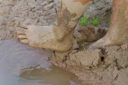 的水坑里泥泞中的赤脚马穿脏鞋的人在地毯上留下泥泞的脚印泥泞中的脚