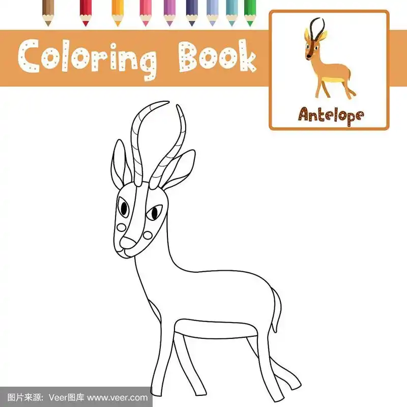 彩色页非洲动物羚羊矢量插图