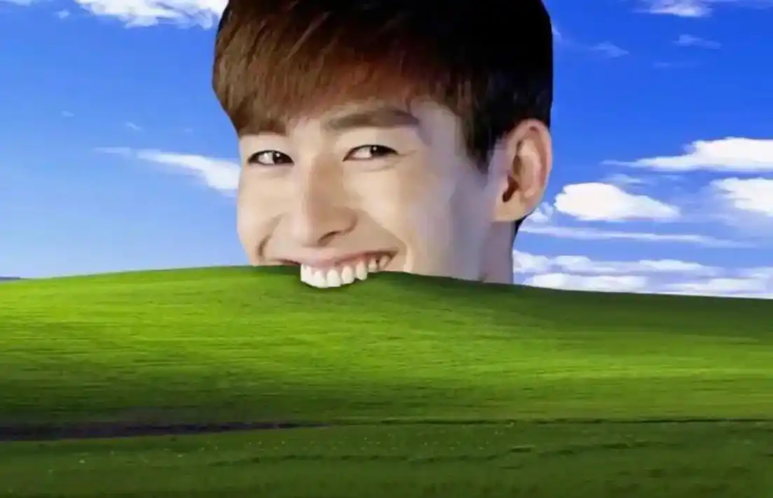 有粉丝说仔像张翰啃草坪.#柴犬 #猛兽 #恶犬 - 抖音