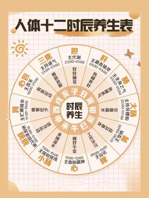 十二时辰养生法24小时作息对照表