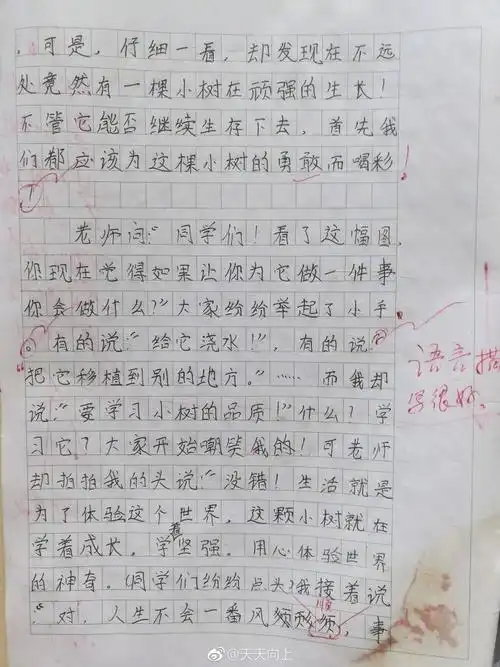 蔡徐坤 小学作文