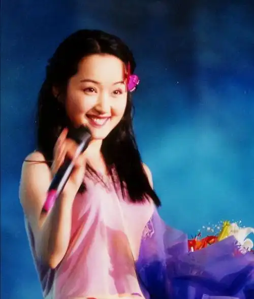 回顾杨钰莹巅峰期爱上赖文峰却葬送十年事业51岁不婚仍单身