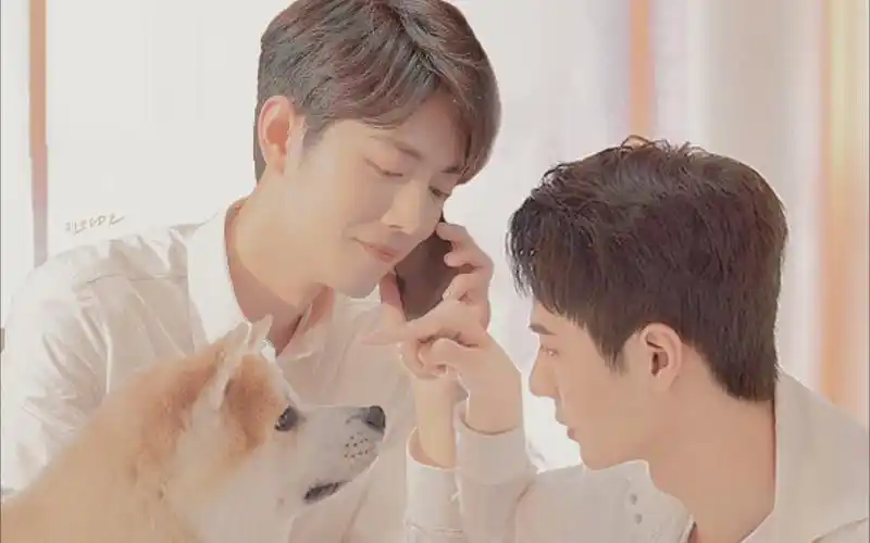 【博君一肖】生子向,小虐怡情,高甜,职场宫斗不喜误入,勿上身真人!