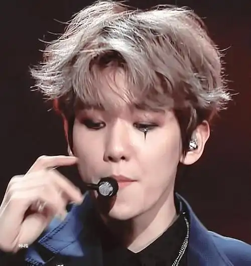 exo 边伯贤 演唱 表演 邪魅 韩国男团