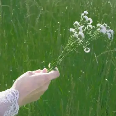 高清好看的小清新绿色女生真人头像