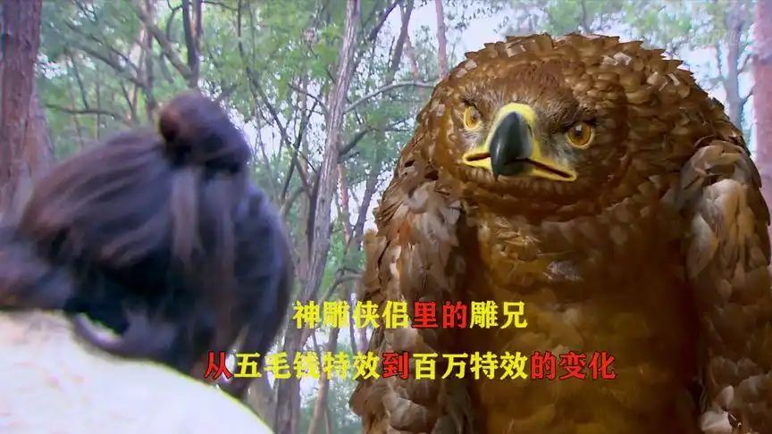 盘点各版神雕侠侣里的雕兄,超齐全七版对比,谁才是你心中的经典