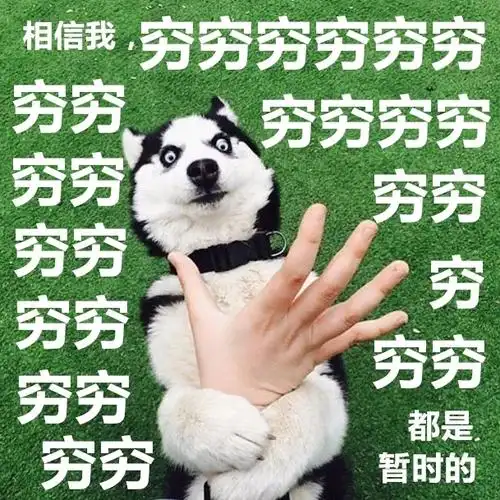 相信我穷穷都是暂时的