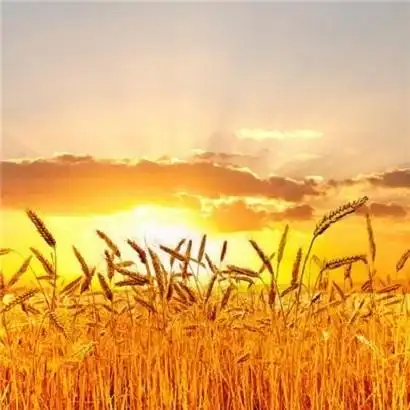 带来好运的微信头像 2021能带来好运的微信头像女