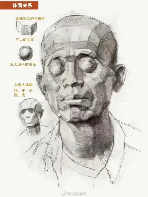 头像中的三庭五眼是最为重要的,多花些时间起形.