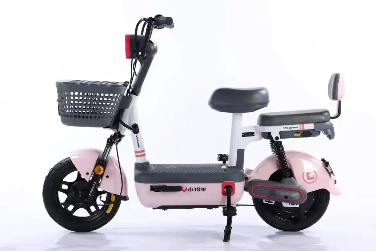 南川园新村34幢绿源电动车,洪照车业,欢迎新老顾客,联系电话 - 抖音