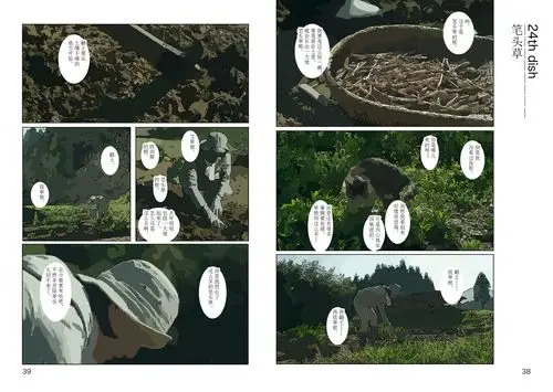 漫画书《小森林》3