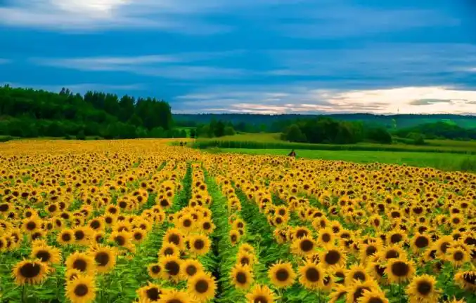 畅游黑河春夏旅游线路清爽来袭67