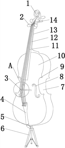 一种可防止撑脚杆滑脱的大提琴,其结构包括琴头(1),弦轴(2),琴马(3)