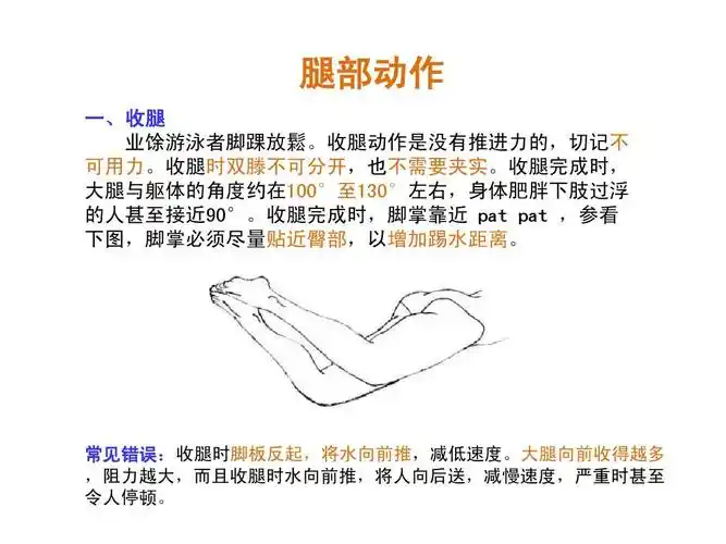 蛙泳技巧图解ppt