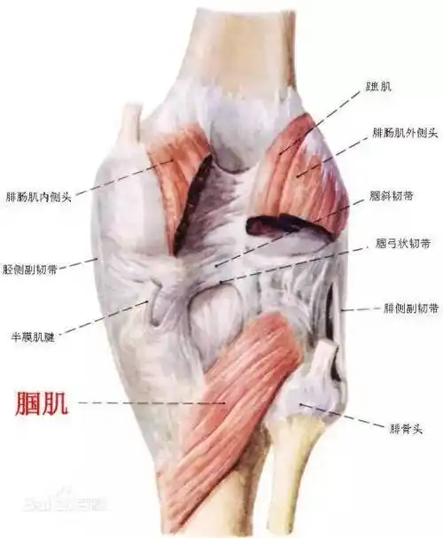 "影帝"归来----膝痛案例 (附带处理方案)