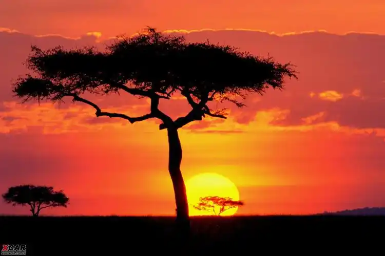 > 最美不过夕阳红