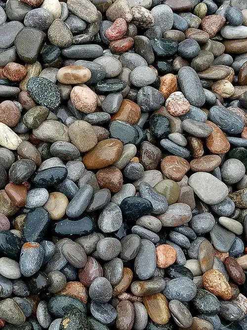 我厂加工生产的天然鹅卵石颜色多样,主要颜色有黄色,白色,黑色,红色