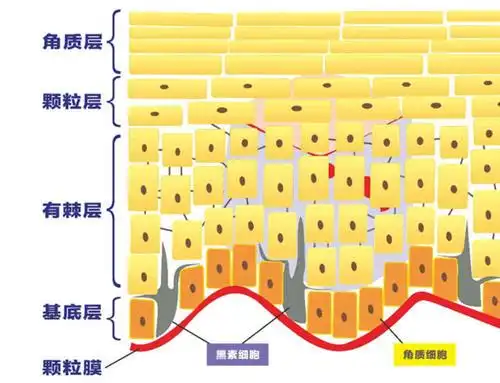 正确去角质你需要掌握这4个方法