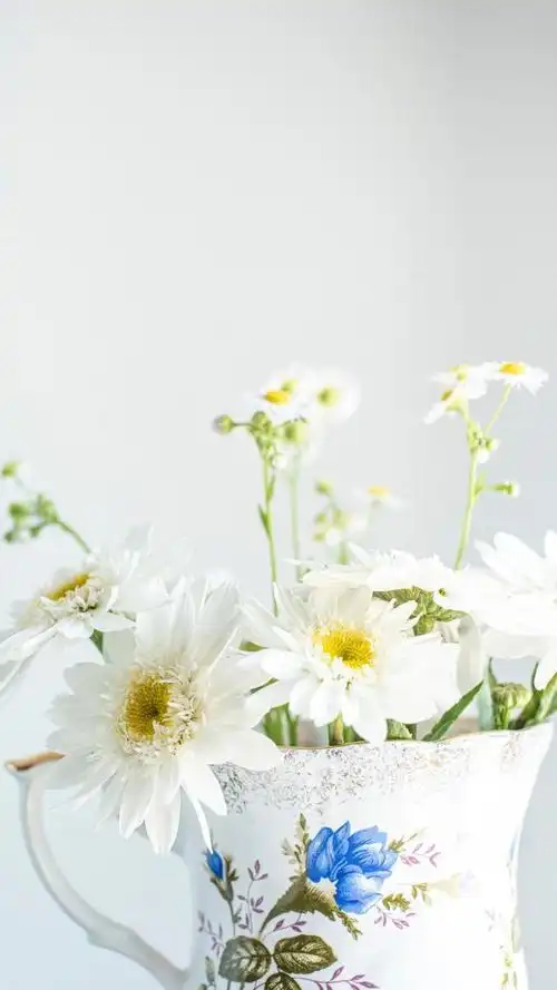 小清新文艺生活随景