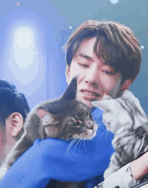 王一博抱xxxxxxl猫网友猫是易烊千玺