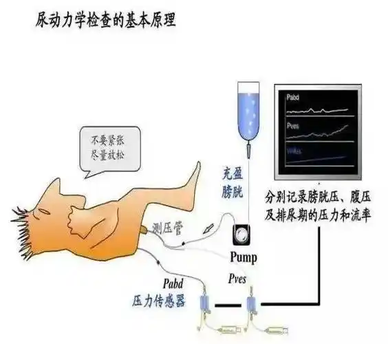 同样的泌尿系统症状可能是由不同的疾病所引起的,如果不加以区别,针对