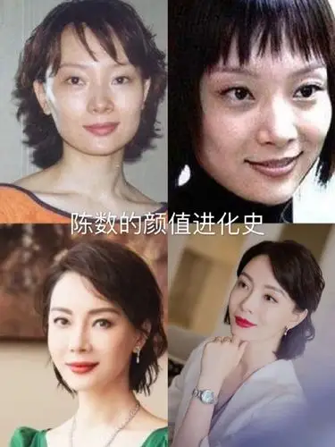 陈数的颜值进化史