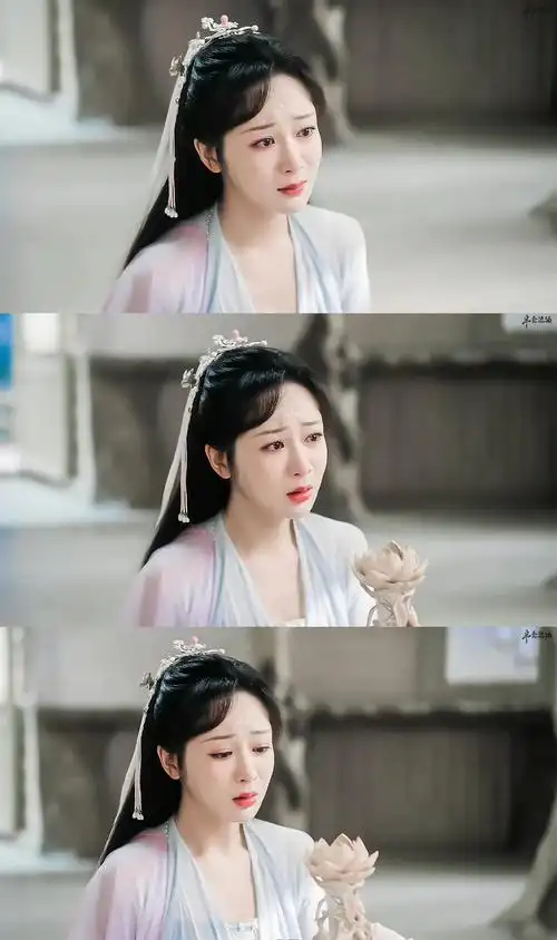 沉香如屑74杨紫