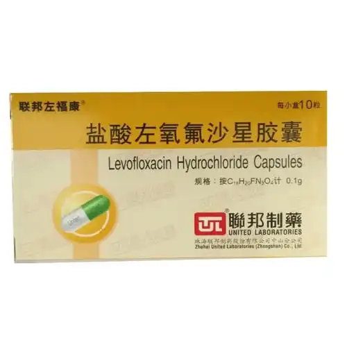 盐酸左氧氟沙星胶囊