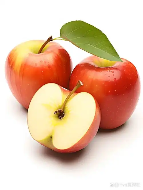 绘画素材千集分享|苹果组图·横切面【391】