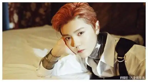 疯狂狗仔围剿鹿晗工作室回应含糊不清粉丝怒火难平