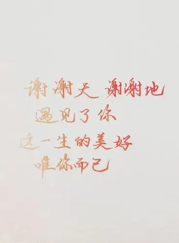 谢谢天谢谢地遇见了你这一生的美好唯你而已