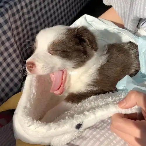 一个月大的宝宝一下就长大了 睡醒打个哈欠