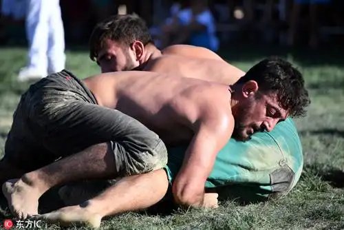 土耳其举行抹油摔跤大赛 肌肉男涂油相互抱摔