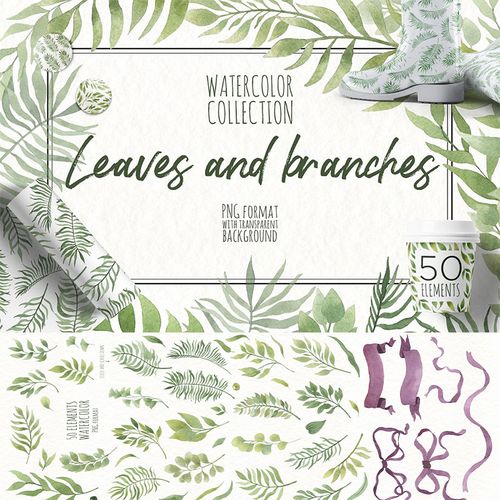 72清新嫩绿水彩手绘树叶子春夏元素免扣透明背景图库平面设计素材