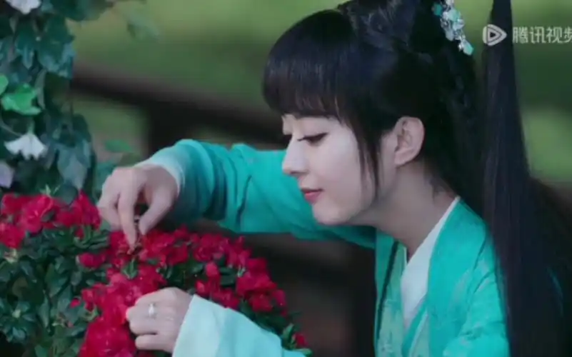 [赵丽颖-碧瑶]"我把它折了是它的福气"